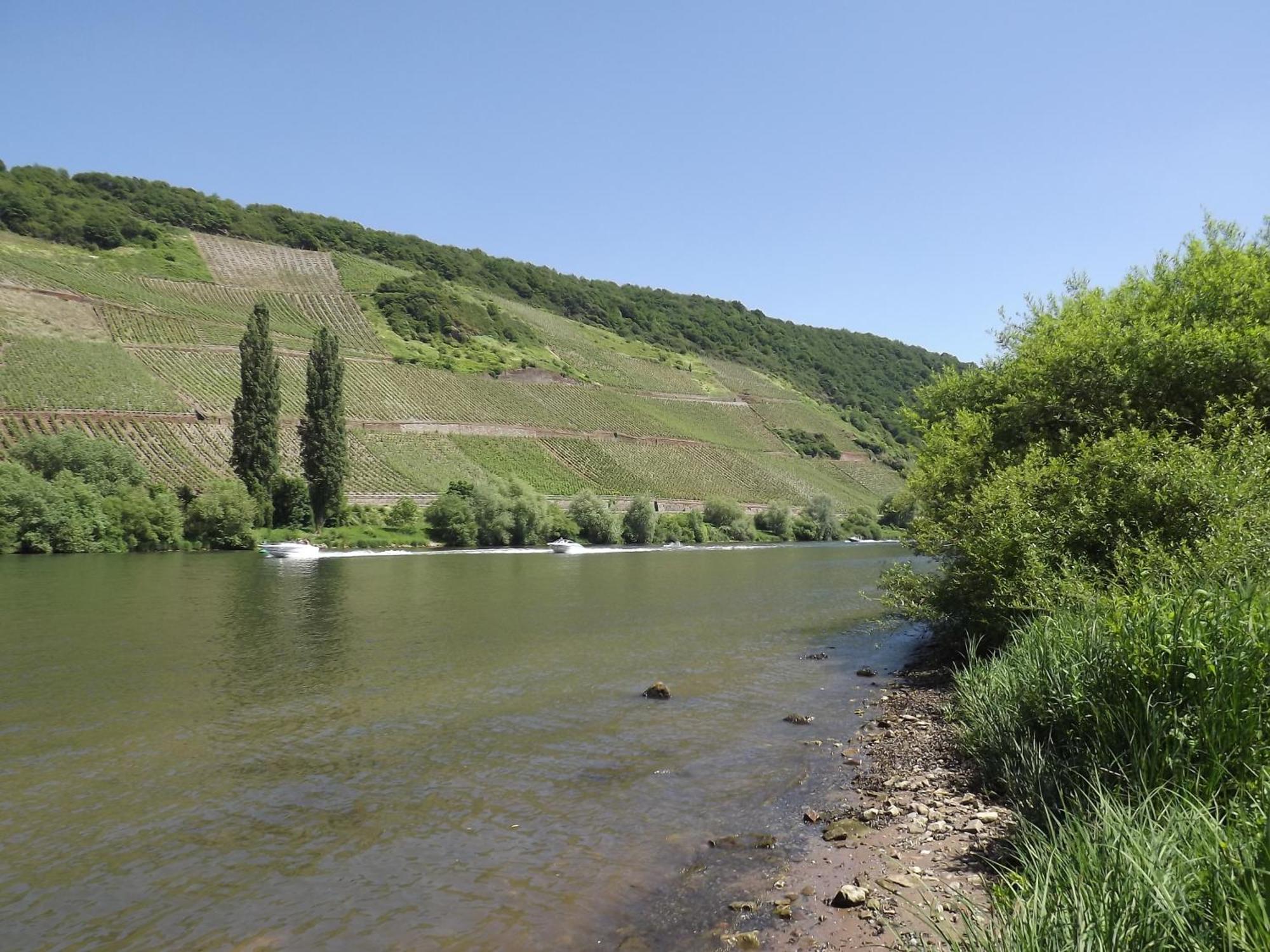 Ferienweingut Winnebeck Köwerich Pokój zdjęcie