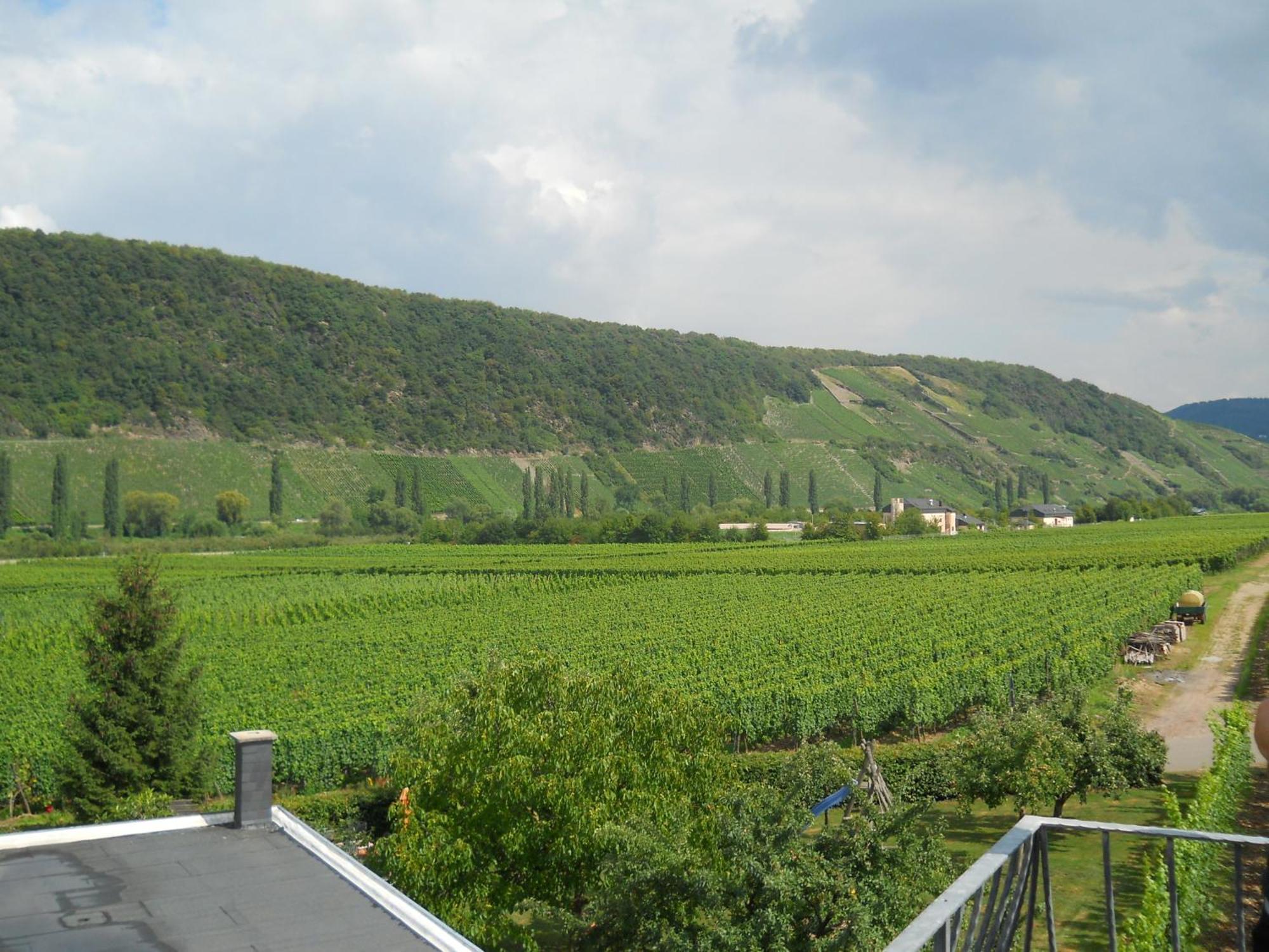 Ferienweingut Winnebeck Köwerich Pokój zdjęcie