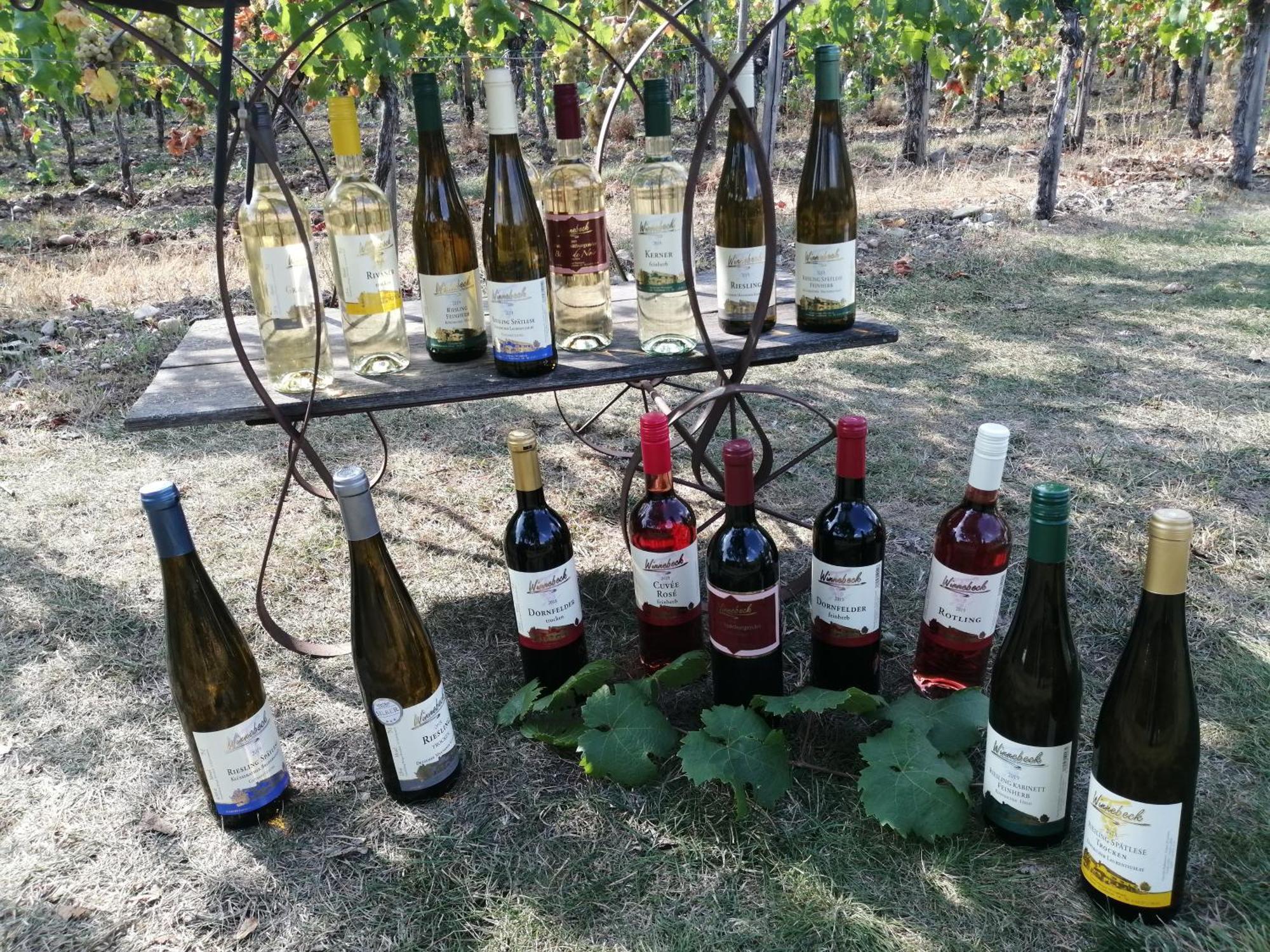 Ferienweingut Winnebeck Köwerich Zewnętrze zdjęcie