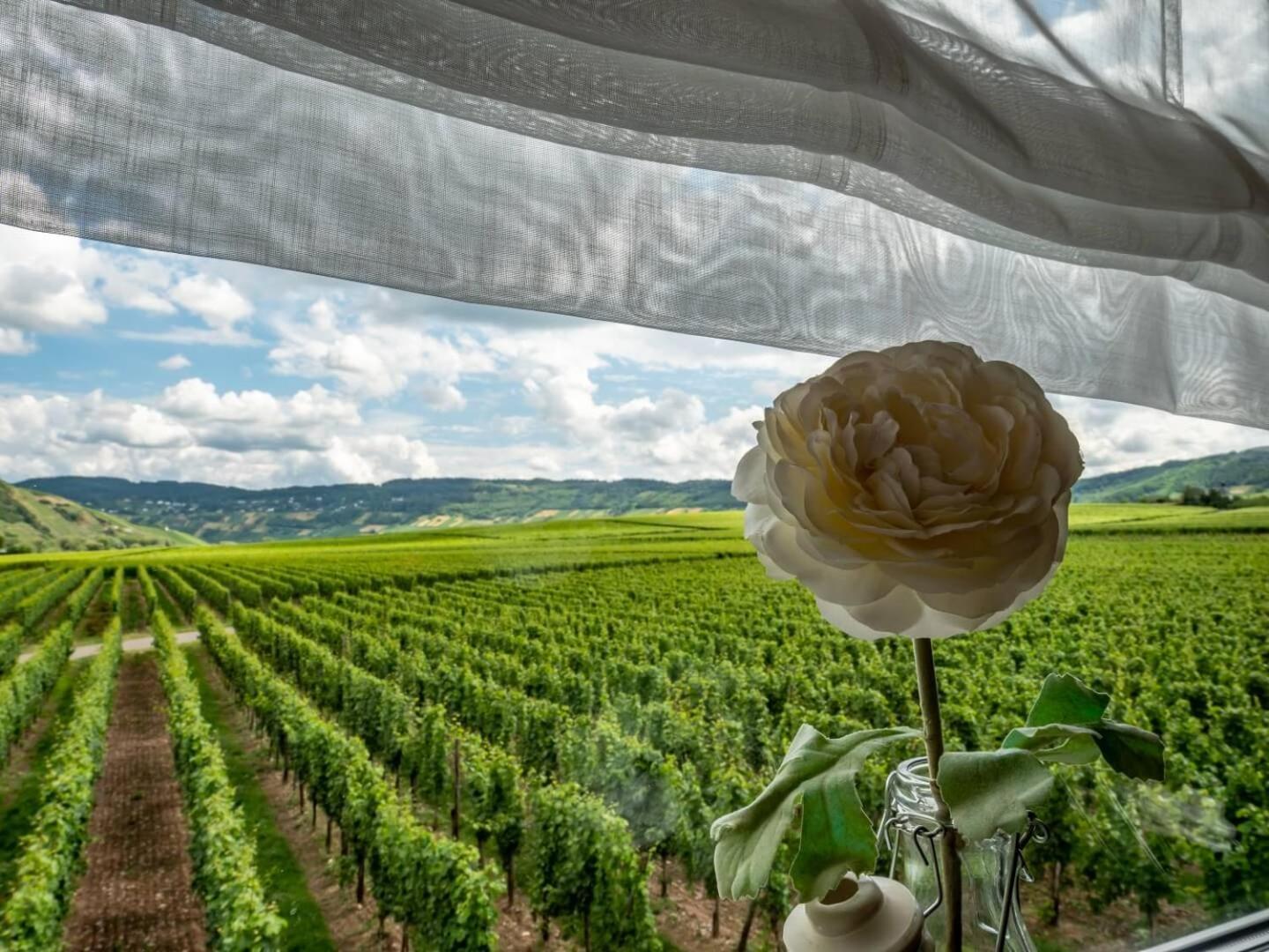 Ferienweingut Winnebeck Köwerich Zewnętrze zdjęcie