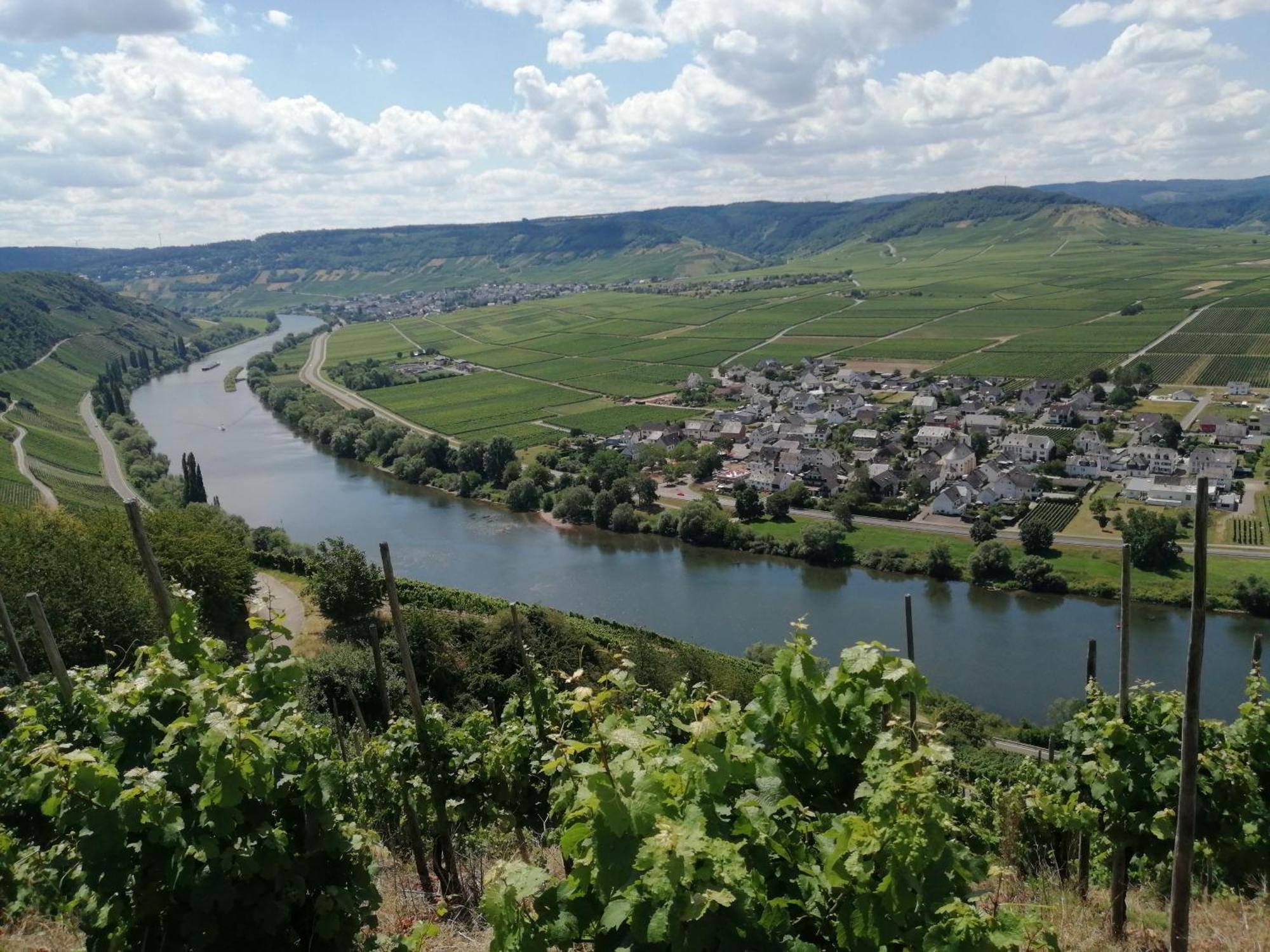 Ferienweingut Winnebeck Köwerich Zewnętrze zdjęcie