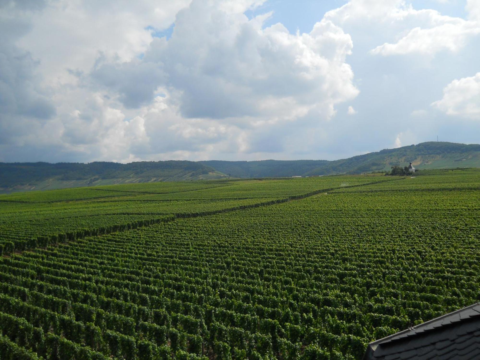 Ferienweingut Winnebeck Köwerich Zewnętrze zdjęcie